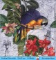 Preview: Papagei Ara mit Libelle und Blumen - 1 Cocktail Serviette